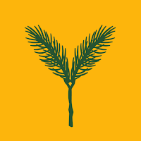 Yellow Spruce Roasters