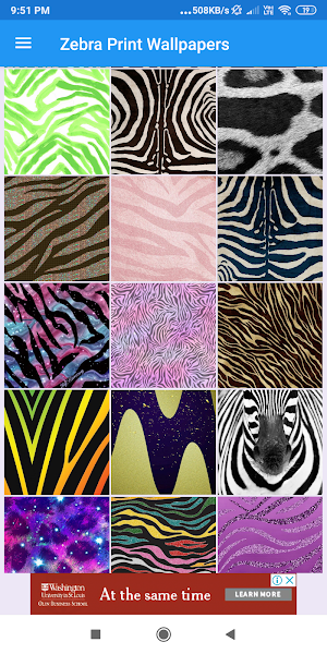 Zebra Print HD Wallpapers Screenshot 3