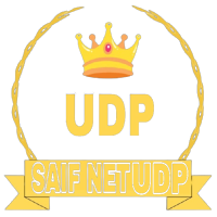 SAIF NET UDP