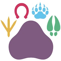 Pawsibilities