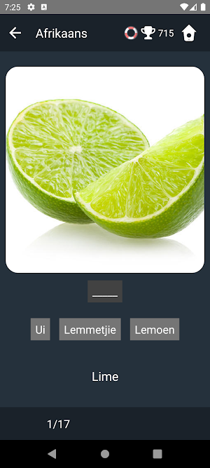 Afrikaans Language Tests Screenshot 3