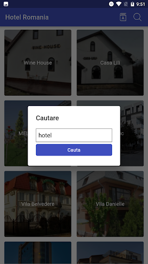 Hotel Romania Screenshot 1