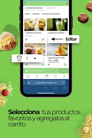 Servicios V&V Screenshot 2