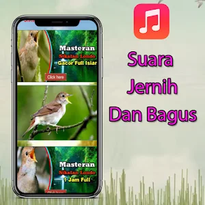Masteran Sikatan Londo Gacor Screenshot 1