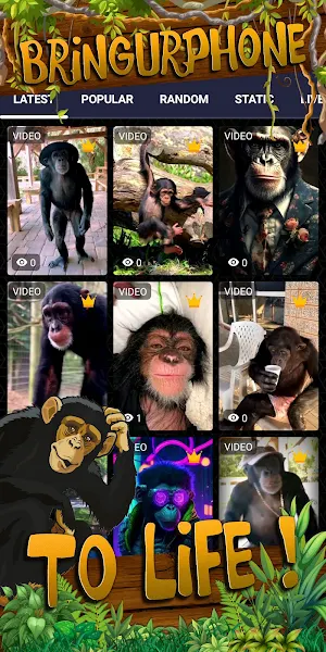 chimpanzee wallpaper Screenshot 1