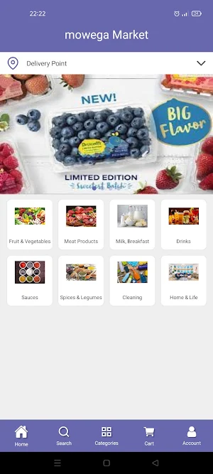 mowega Market Screenshot 0