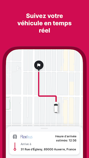 AuxR Flexibus Screenshot 3