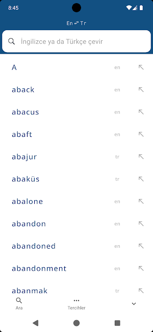 Turkish English Dictionary Screenshot 0