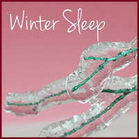 Instrumental Christmas Music