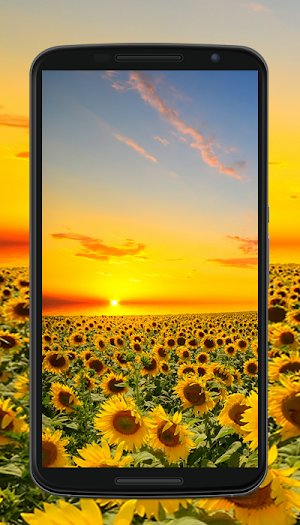 nature wallpaper Screenshot 2