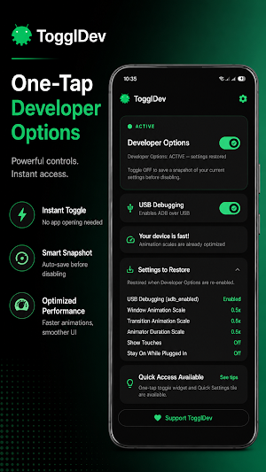 TogglDev Screenshot 2
