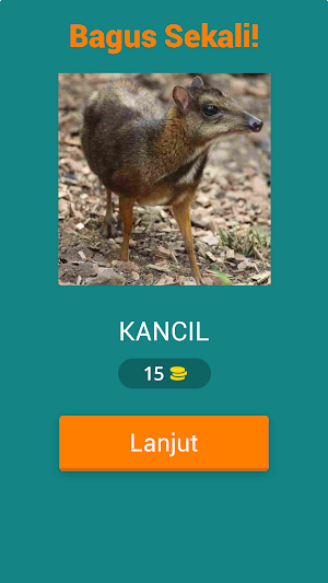 ZoologiPuzzle Screenshot 1