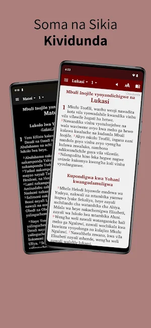 Vidunda Bible Screenshot 0