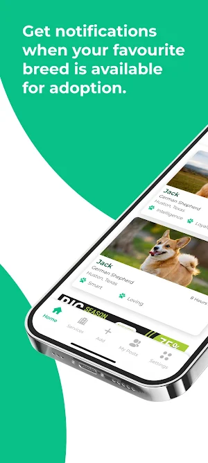 Adoringo Screenshot 1