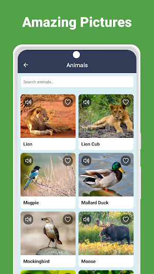 Animal Sounds Screenshot 3