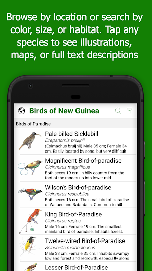 Birds of New Guinea Screenshot 1