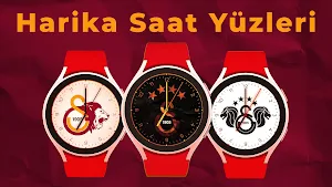 Aslan GS Saat Yüzü ve Duvar Screenshot 0