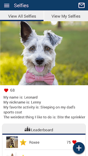 Companion Pet Care NH Screenshot 3
