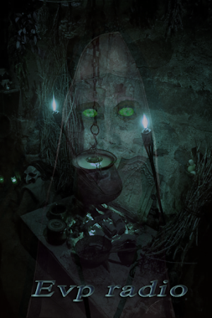 Spirit Box Evp Board 91-1 Screenshot 2