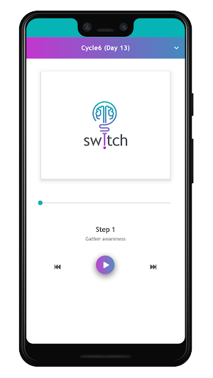 Switch screenshot 8
