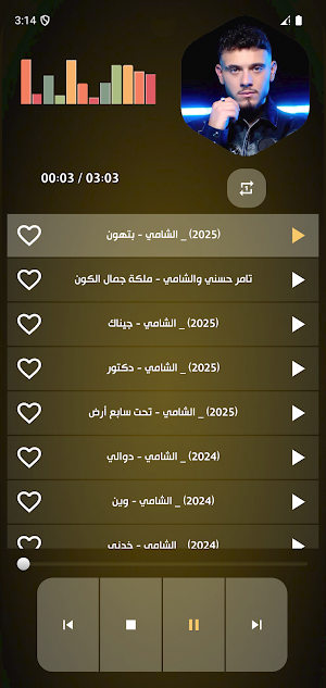 جميع اغاني الشامي 2025بدون نت Screenshot 1