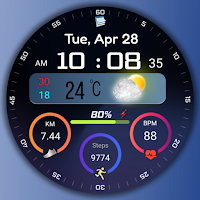 Digital Watchface FSW312