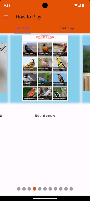 BirdBingo&BirdWatching Safaris Screenshot 3