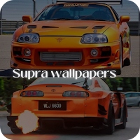 Supra wallpaper