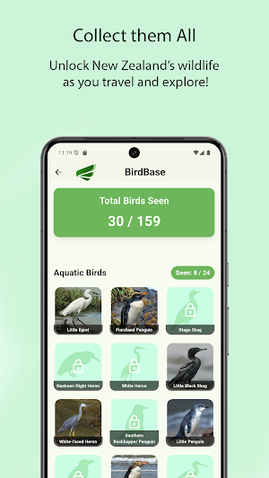 Wingmate Birds New Zealand Screenshot 2