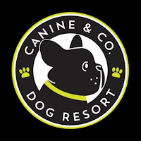 Canine & Co. Dog Resort