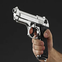 Gun Master: Shoot 'Em Up!