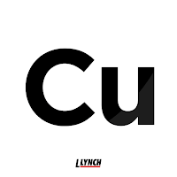 L-Lynch Customer