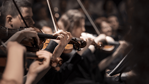 Violin Sounds Screenshot 3