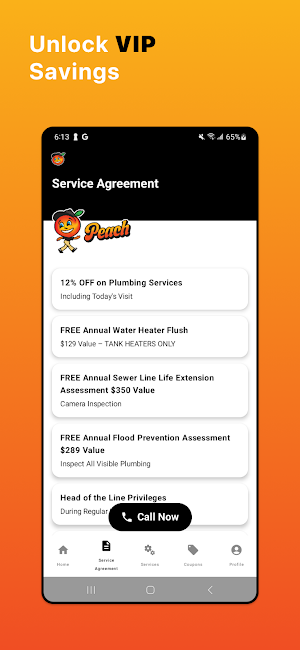 Peach Plumbing Screenshot 1