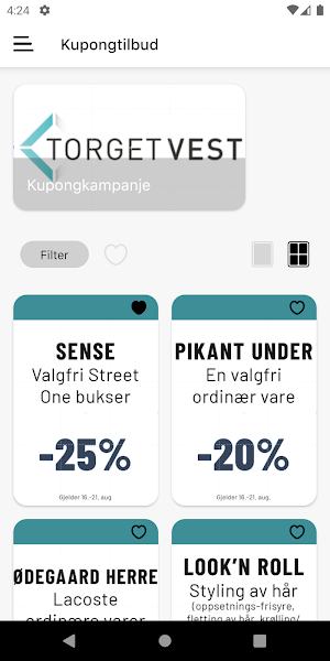 Torget Vest Screenshot 1