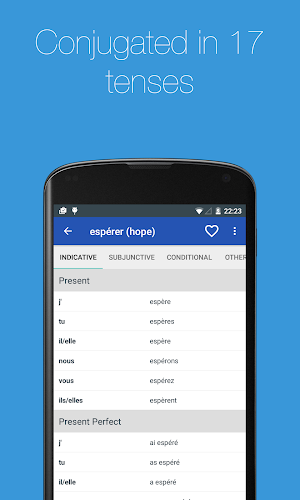 French Verb Conjugator Screenshot 2