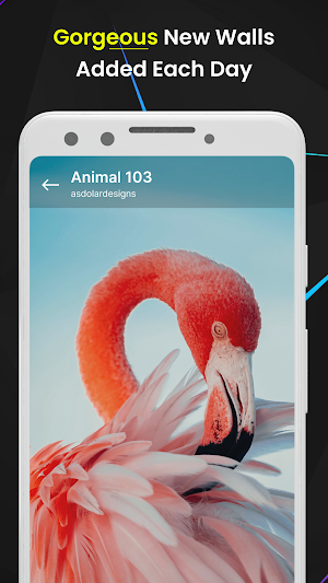 Unique HD Wallpaper Screenshot 3