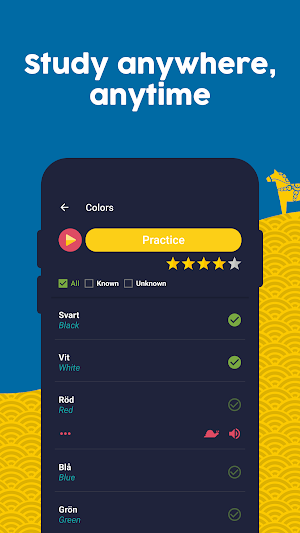 Learn Swedish - Beginners Screenshot 1