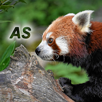 Nature - Asia