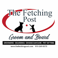 The Fetching Post