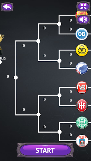 Danish Superliga Screenshot 3