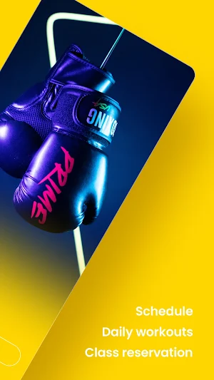 Prime Boxing Screenshot 1