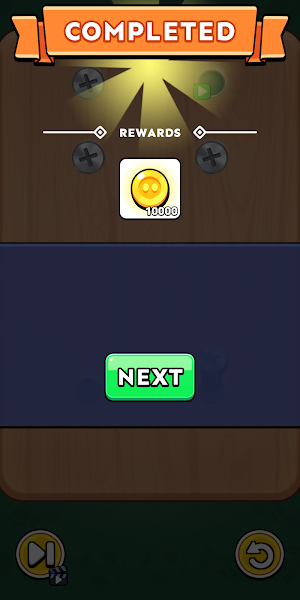 Puzzle Screw screenshot 6