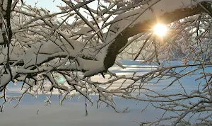 Snow wallpapers Screenshot 2