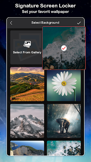 Signature Screen Locker Screenshot 0