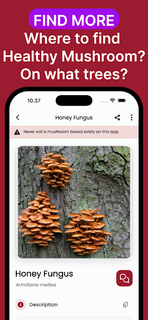 Mushroom ID: AI Identifier Screenshot 3
