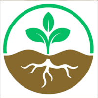 Plant CO