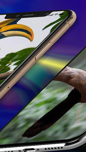 Toucan Wallpaper 4K Screenshot 3