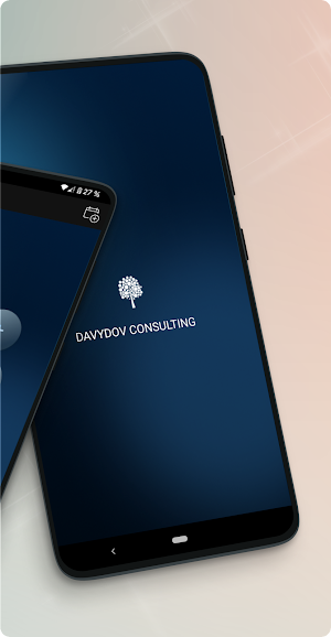 Davydov Consulting Screenshot 1