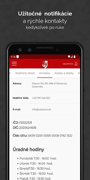 Raslavice Screenshot 3
